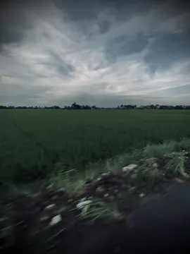 隻小手遮不住所有的陽光，一小步遮不住每個人的心。 