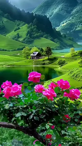 #pentrutine #pentruvoi🇷🇴 