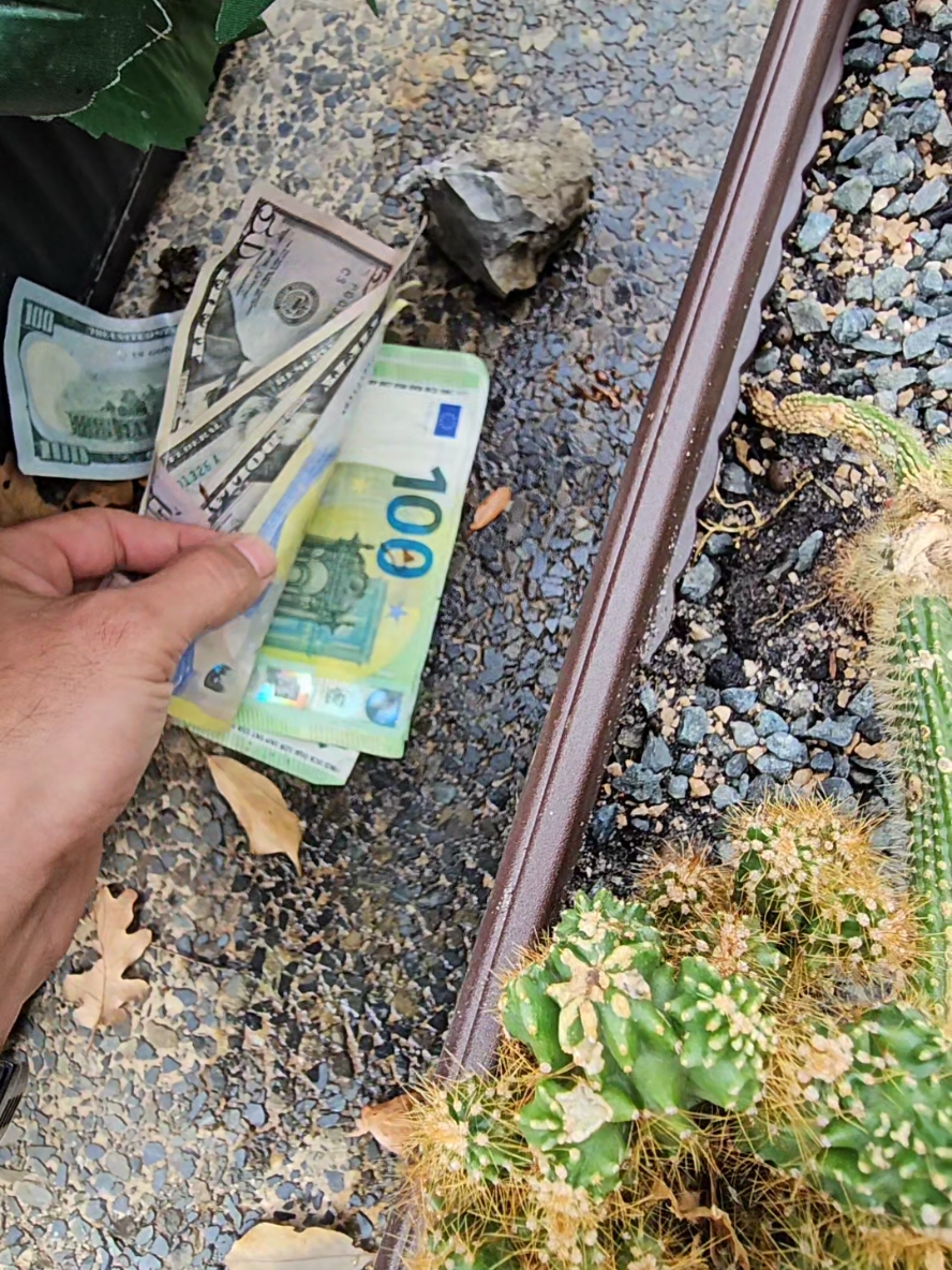 snimak sa groblja.  Vrati pare  grešniče