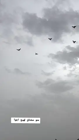 الصافيه دامن بل مقدمه 😅🤎#حمام_لوت_قلابي_حمام_بصراوي 