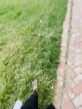 আসলেই ওরা আমারাই ভাই 