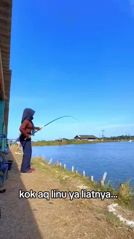 asli linu 🤣🤣🤣 #fhising #viralditiktok #pemancingan #fypシ #viral 