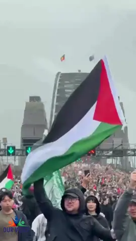 they say gaza is starving. these videos tell a different story. watch and decide for yourself.