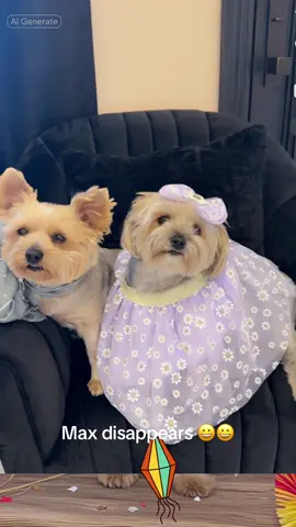 #aifilter #cutedog#animal#oftiktoknicefilter#fypシ 