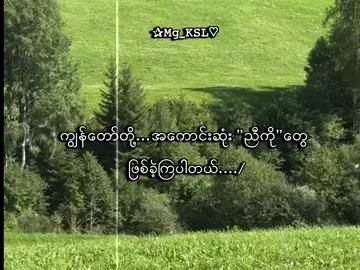 ရှေ့ဆက်လဲအကောင်းဆုံးညီကိုတွေအဖြစ်ရှိသွားကြအုံးမှာ🫂 . . .#mg_ksl #mg_ksl_2010 #fyp #foryou #lyrics💐 