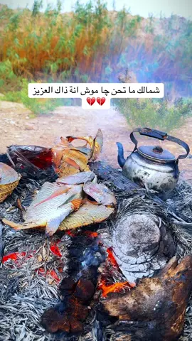 #العماره_والايتي_مشاهير_العماره #مشاهير_تيك_توك_مشاهير_العرب 
