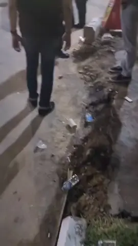 kabar terkini Polrestabes#makassar #demo 