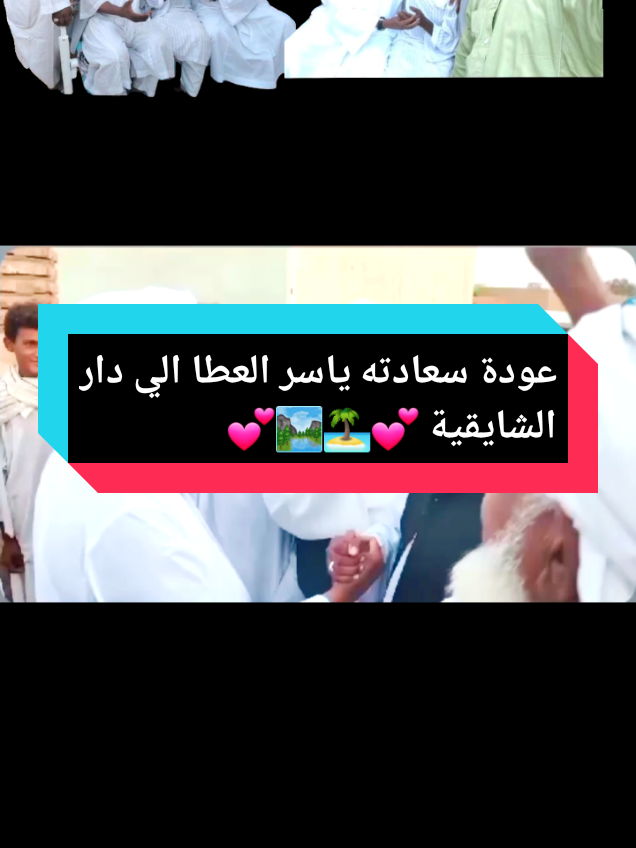 #شايقية_اصلنا_من_اصل_عازة_ورقية  #شايقية_اصلنا_من_اصل_عازة_ورقية  #شمالنا_الحبيب🌴💚  #wahag20021  #اكسبلور 
