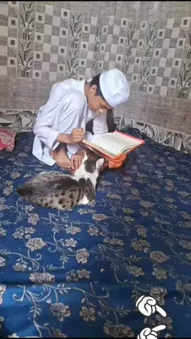 #foryou #tiktok #foryoupage #trending #viral @TikTok @For You @For You House ⍟ @🗣️ VOICE OF FARUK 📢 @🥀জুঁথিঁ🥀 @মালয়েশিয়া প্রবাসী বউ 🥀✈️🌿 @জানা অজানা কথা 001 @ABUDHABI MALLU 