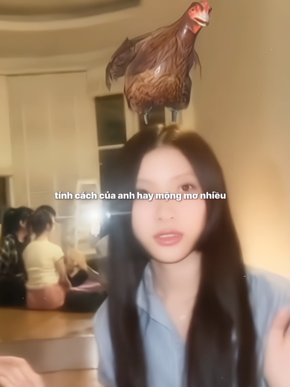 Các bác vào xem con mèo biết dỗi này 🫵🏻😭  || #MyMy #exsh #emxinhsayhi #fyp #xuhuong 