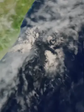 #earthzoomout#pet#fyp#foryoupage#foryou