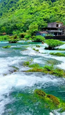 用你最好的磁场，去感召同磁场的人，相互滋养，彼此照耀，远离任何消耗你的人或事。被人滋养，是最大的幸福，滋养他人，是顶级的修养！