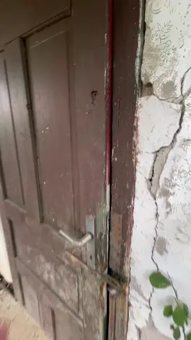 stuzni jottetek?🎼#zsenialisok #zsenik #fyp #studio 