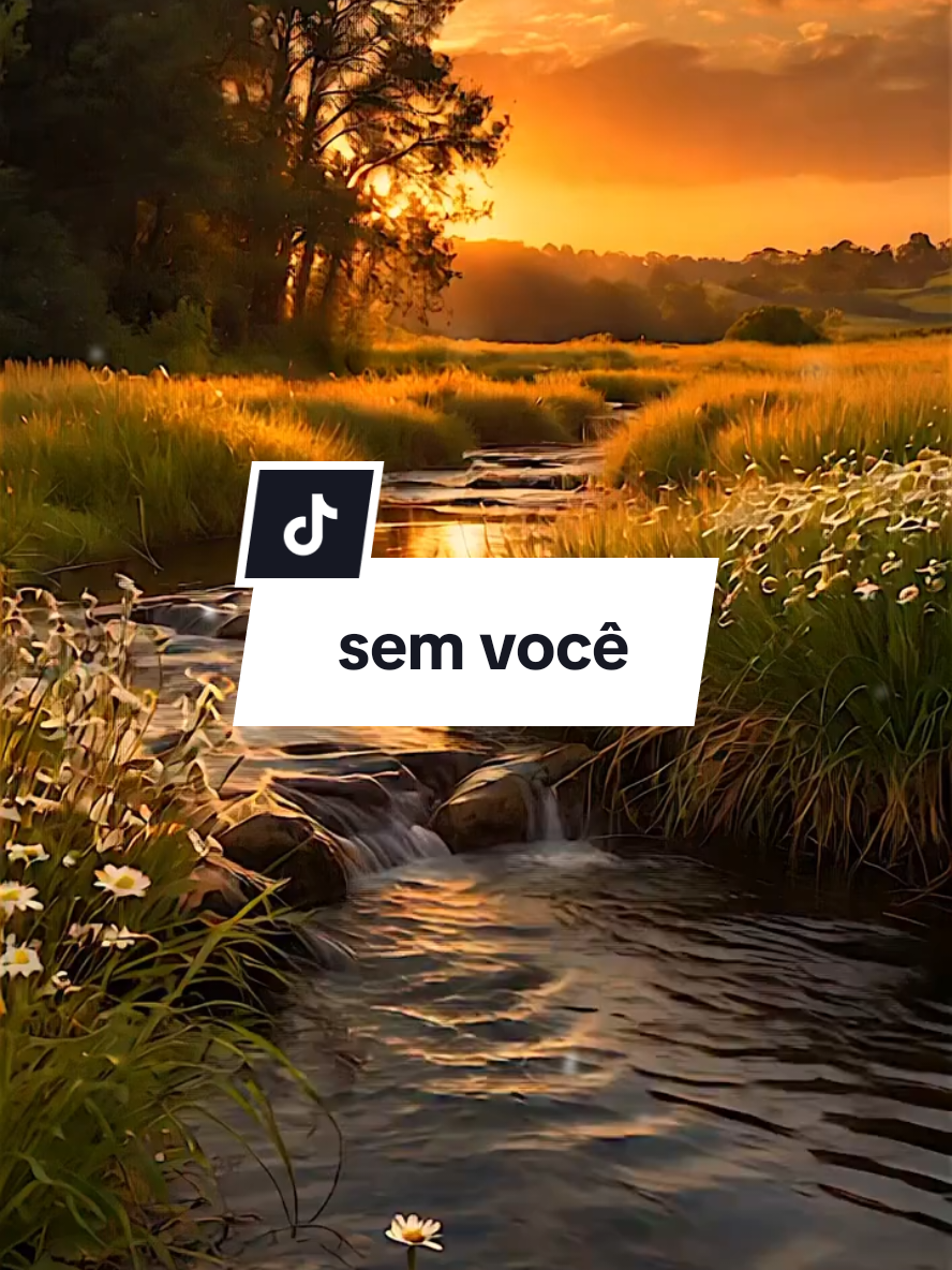 Sem você... #musica #sertanejo #antigas #paulafernandes #relembrar