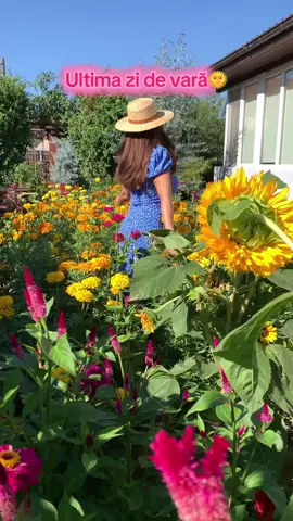 Ultima zi de vară!🌞#vara #ultimazidevara #gradina #gradinacuflori #🌞 🌸