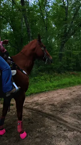 Something little different 