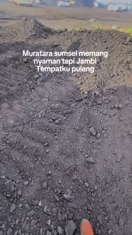 ☺️ #tambangbatubara #fypシ゚viral #houlingbatubara #sumsel #jambi 