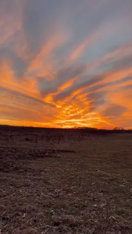 #atardecer #sunset #views #fypage 