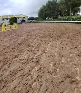 @eventful_riders so much fun at @clonshire Equestrian Centre in Adare, Co. Limerick today 🇮🇪🐎! I joined a group showjumping school lesson, and it’s the practice and experience I really needed. I haven’t jumped in months and wanted to get some practice in since I’m out XC and on a fun ride next weekend, and I’ll be back draghunting in a few weeks  If you want to enjoy riding a well-schooled horse in top-class facilities with fully qualified trainers this is the pace to be ☘️ #Horses #Equestrian #CrossCountry #FunRides              