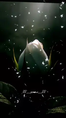 أغاني ليبية  .  .  أغاني ليبية  .  .  #اغاني_ليبية #اغاني_ليبية 