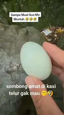 kok telur asin wangi sampai mo muntah gue 🤣🤣🤣🤣@selly ❤️ 🌹 