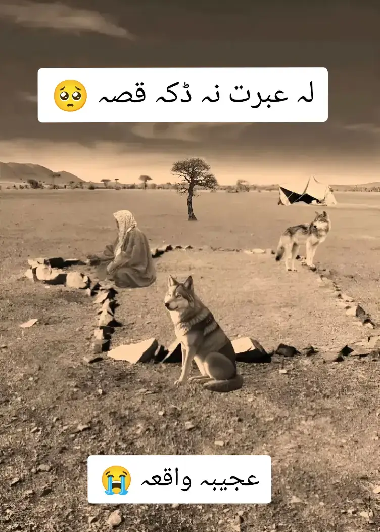 #foryou #viral #😭😭😭😭 