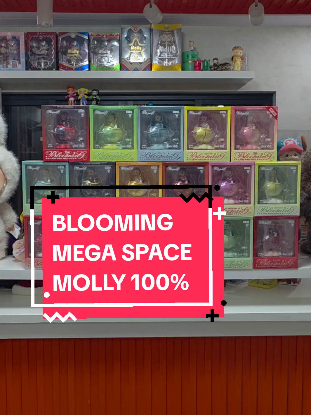 Finally! After months of searching,  I completed my Blooming Mega Space Molly line!!! Enjoy!!! #megaspacemolly #blooming #popmart @popmartglobal 