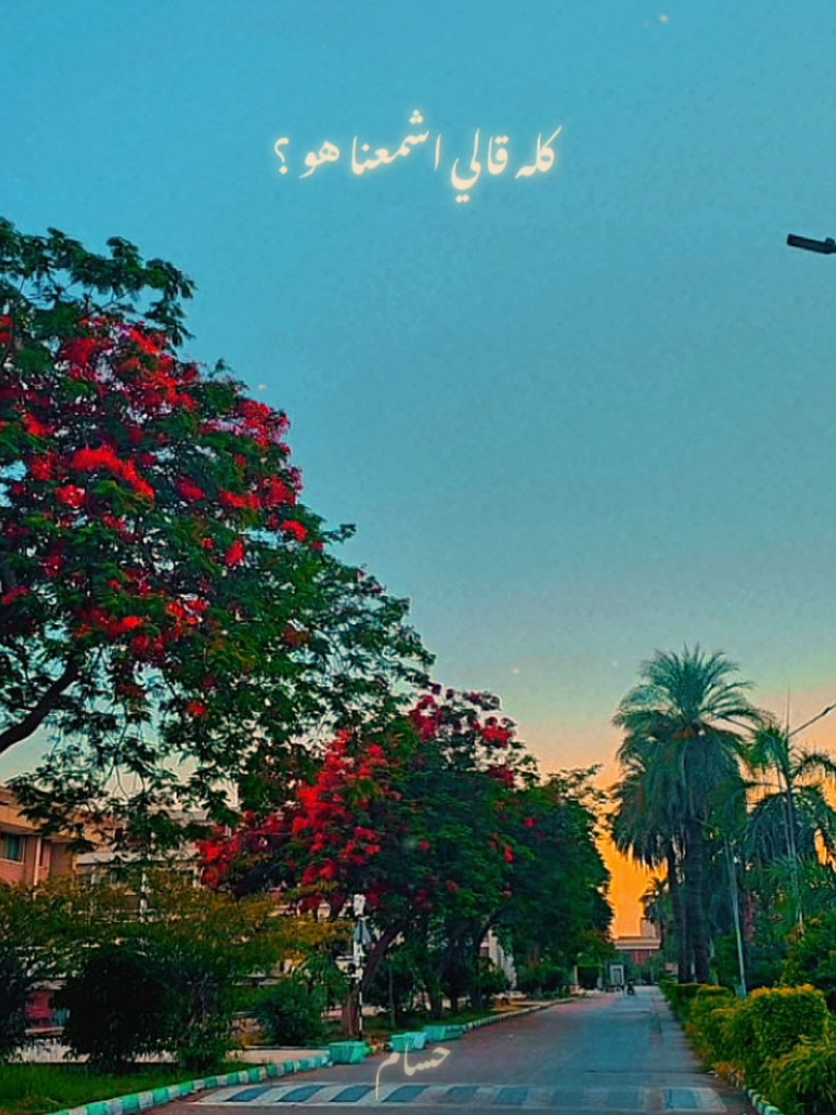 كله قالي اشمعنا هو 🩷☺️ بدون موسيقي🖤 @Amr Gaber Gadallah  #عمرو_جابر  #amrgaber  #fyp  #viral  #foryou 