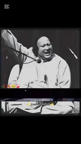 The thirst of the soul can only be quenched by true Divine love.” 🌹🍂🥹🕊️❤️‍🩹 #nusratfatehalikhan #nfak #ustadnusratfatehalikhan #qawwali #kawali 