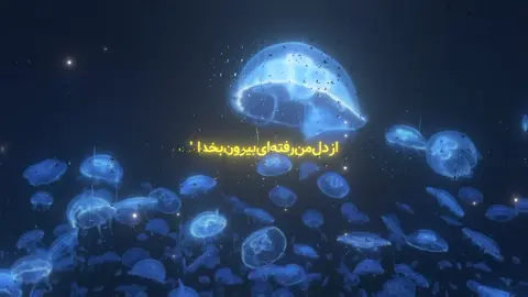 تورا‌نمیپرستم..💙 #فوریو_پاشم_بیام_جرت_بدم #برو_فوریو_بچ #تابستون #ترند #پوبون 