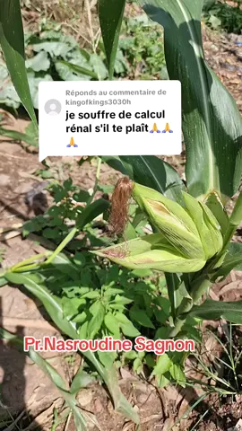 Réponse à @kingofkings3030h  #🇧🇫🇳🇪🇲🇱 #AES #france #africa #burkinatikto @dr Sagnon 