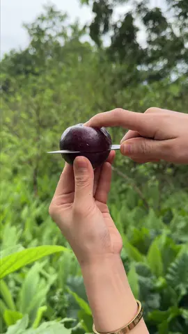 #cut #asmr #fruit #fruits #plum 