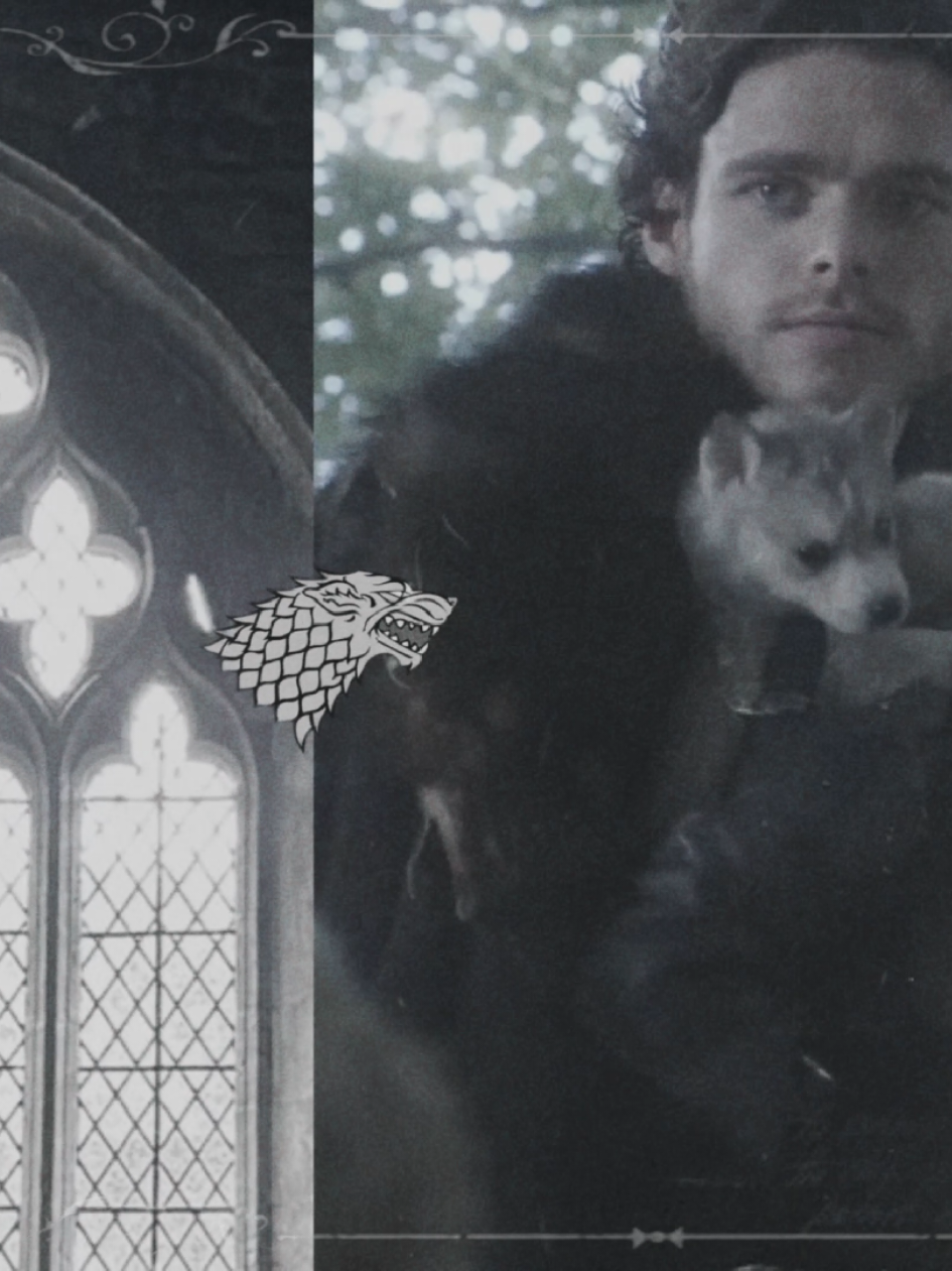 #STARK aesthetic ♰ тгк @burntnote #gameofthrones #edit #gameofthronesedit #fyp 