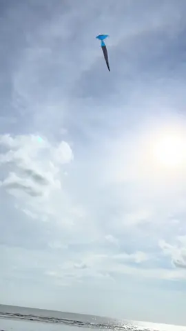 #FYP #kukumbangandandang #badandang_tapin asal ada tanda hadir nya haja😁