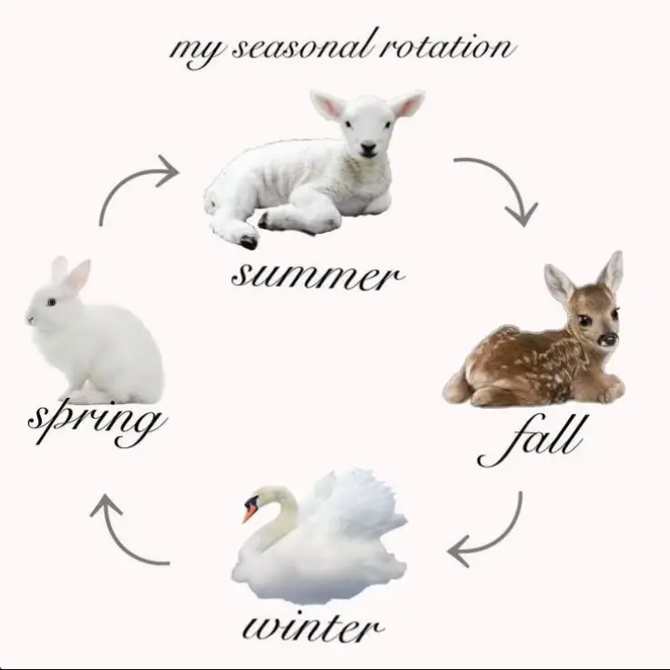 #coquette #fyp #fawn #viral #mecore 