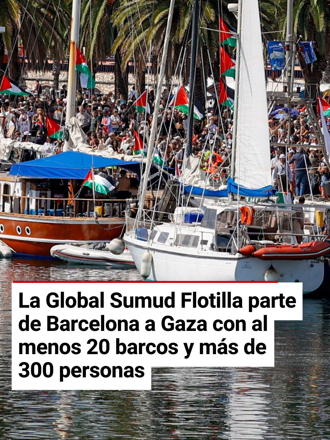 Las primeras embarcaciones de la Global Sumud Flotilla han empezado a salir del Puerto de Barcelona rumbo a Gaza este domingo a las 15.30, y progresivamente han ido partiendo al menos 20 barcos con más de 300 personas, entre los que están la activista sueca Greta Thunberg y la exalcaldesa de Barcelona Ada Colau. #flotilla #greta thunberg #adacolau #barcelona #palestina #israel #gaza
