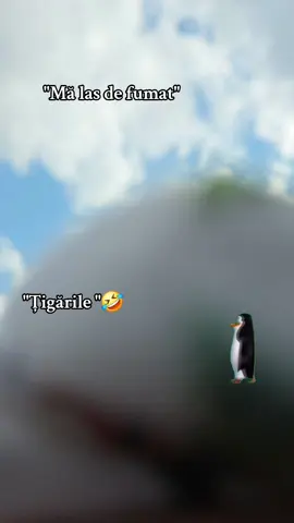 #Meme #MemeCut #CapCut #story #fyyyyppppppp 