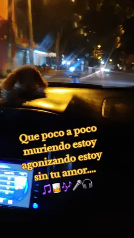 🎶🥃🎵🎧 #muriendoestoy ✔️🤷🏼‍♀️🎵 #luisalbertoposada  #contenidotiktok✨💕💫  #fypシ゚viral  #paratiiiiiiiiiiiiiiiiiiiiiiiiiiiiiii 