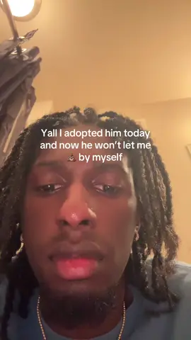 Say hi to Steve #fyp #foryou #foryoupage #kitten #cat 