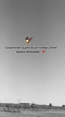 STORYLİK📌 ......... #storilikvideolar📌 #storytime #racon #kılıç #şanlıurfa 