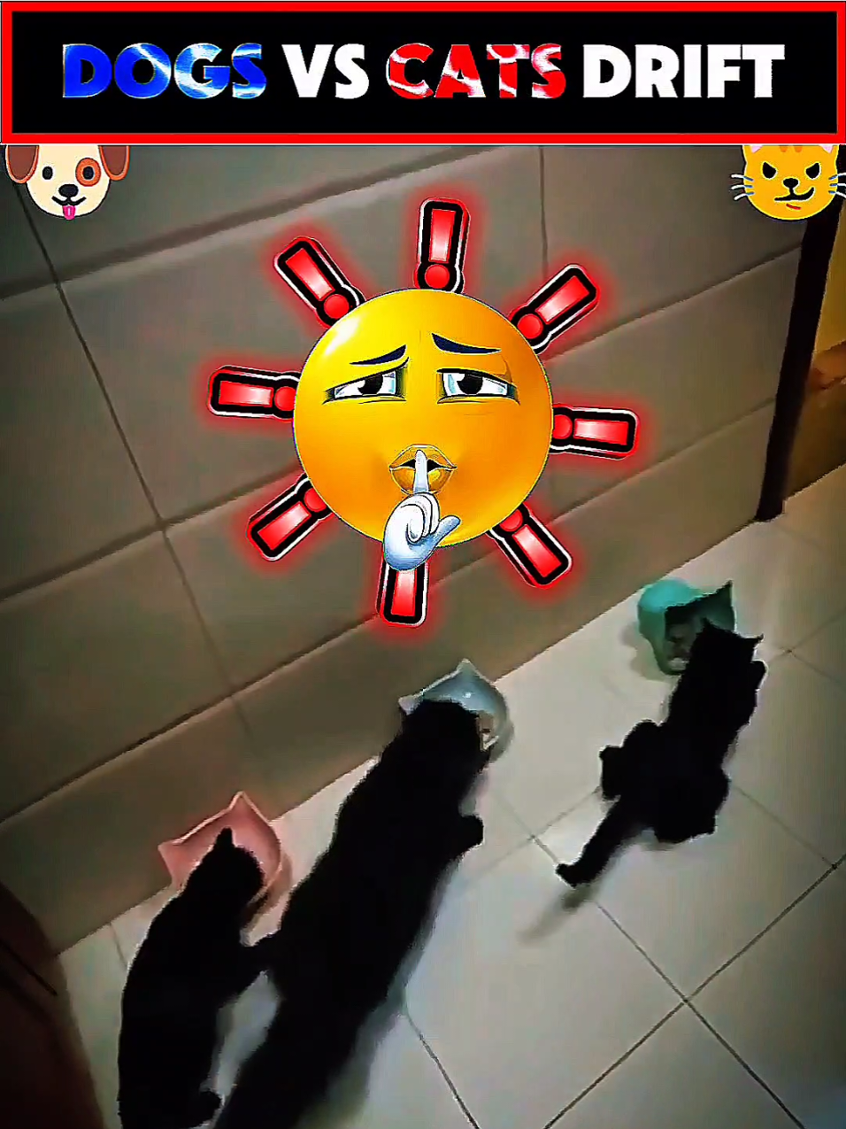 Cat vs Dog Drift 😼🐶 #catvsdog #drift #funnycat #catsoftiktok #fyp 