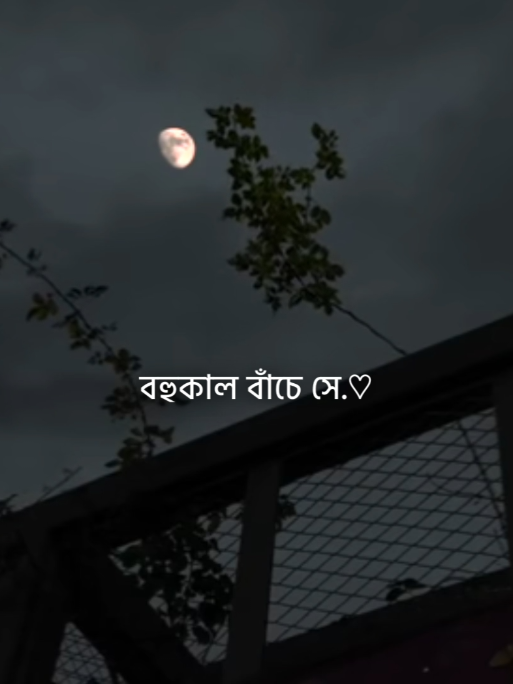 এভাবেই চলছে জীবন 