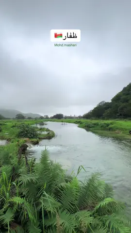 خريف ظفار… لوحة من جمال الطبيعة خريف_ظفار #ظ#ظفارص#صلالةس#سياحة_عُمانع#عمان_السياحيةعمان_وجهة_العالم 