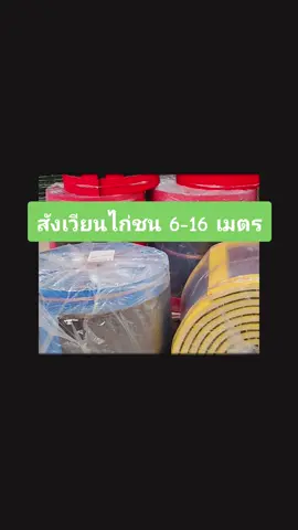 สังเวียนไก่ชน 6 เมตรถึง 16 เมตร #สังเวียนไก่ #แสวงสุ่มไก่ส่งทั่วไทย🐓❤️💯 