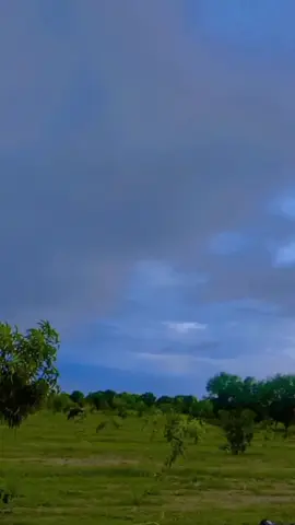 #jamhamza104 #viraltiktok #viralvideo 