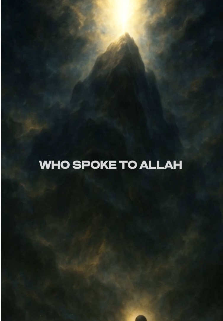“Where souls find peace in nasheeds.” 🕊️ link in bio for my album 🤍  #RUH #SaveYourSoul #nasheed 