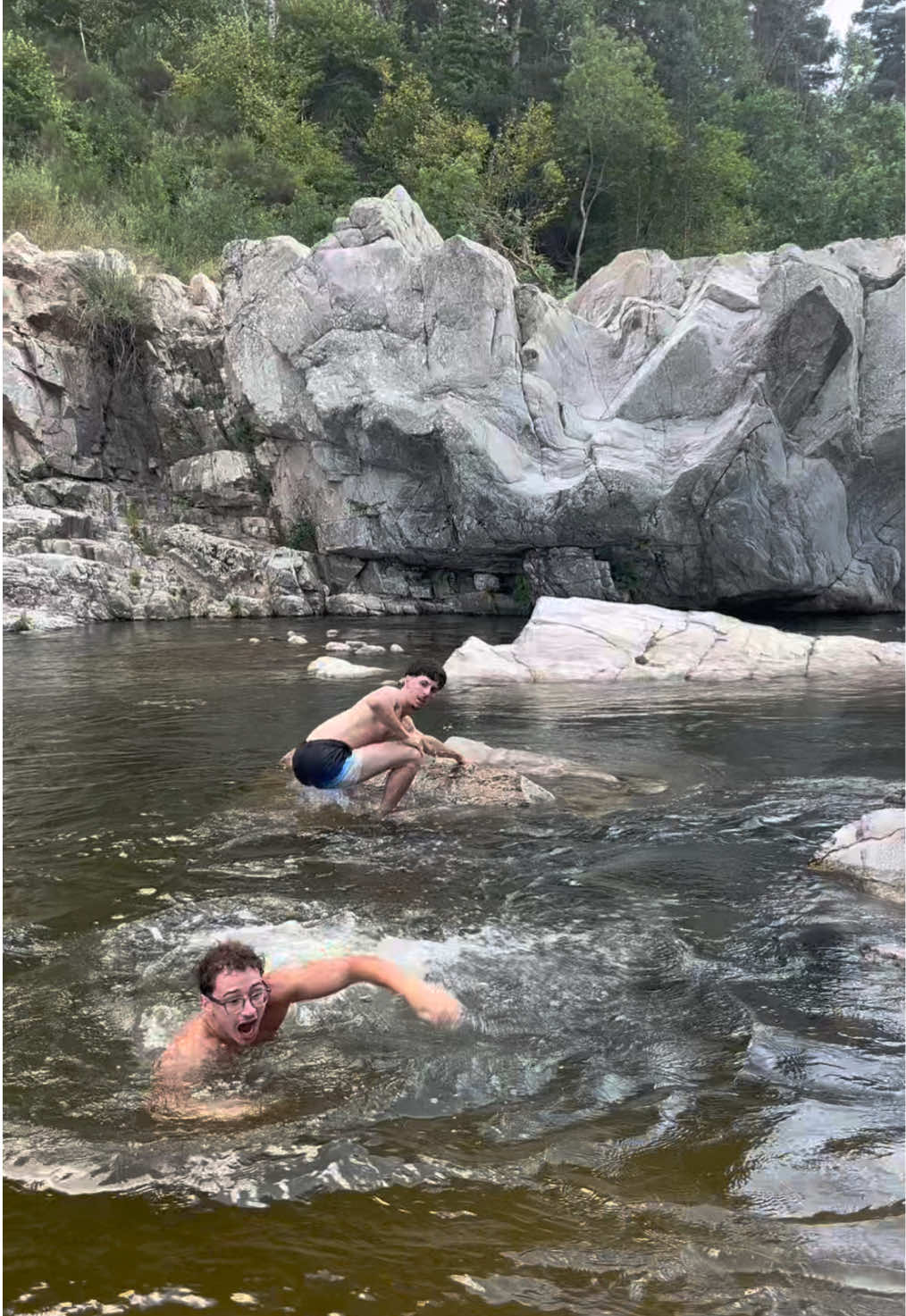 poisson, pannure de poisson, poisson pané : notre rubrique 100% colin.