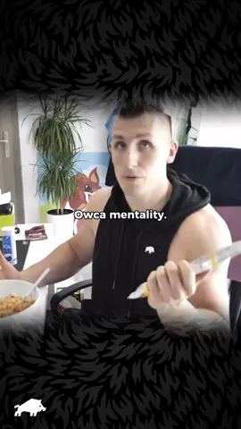 #dzik #wkdzik #ekipawk 