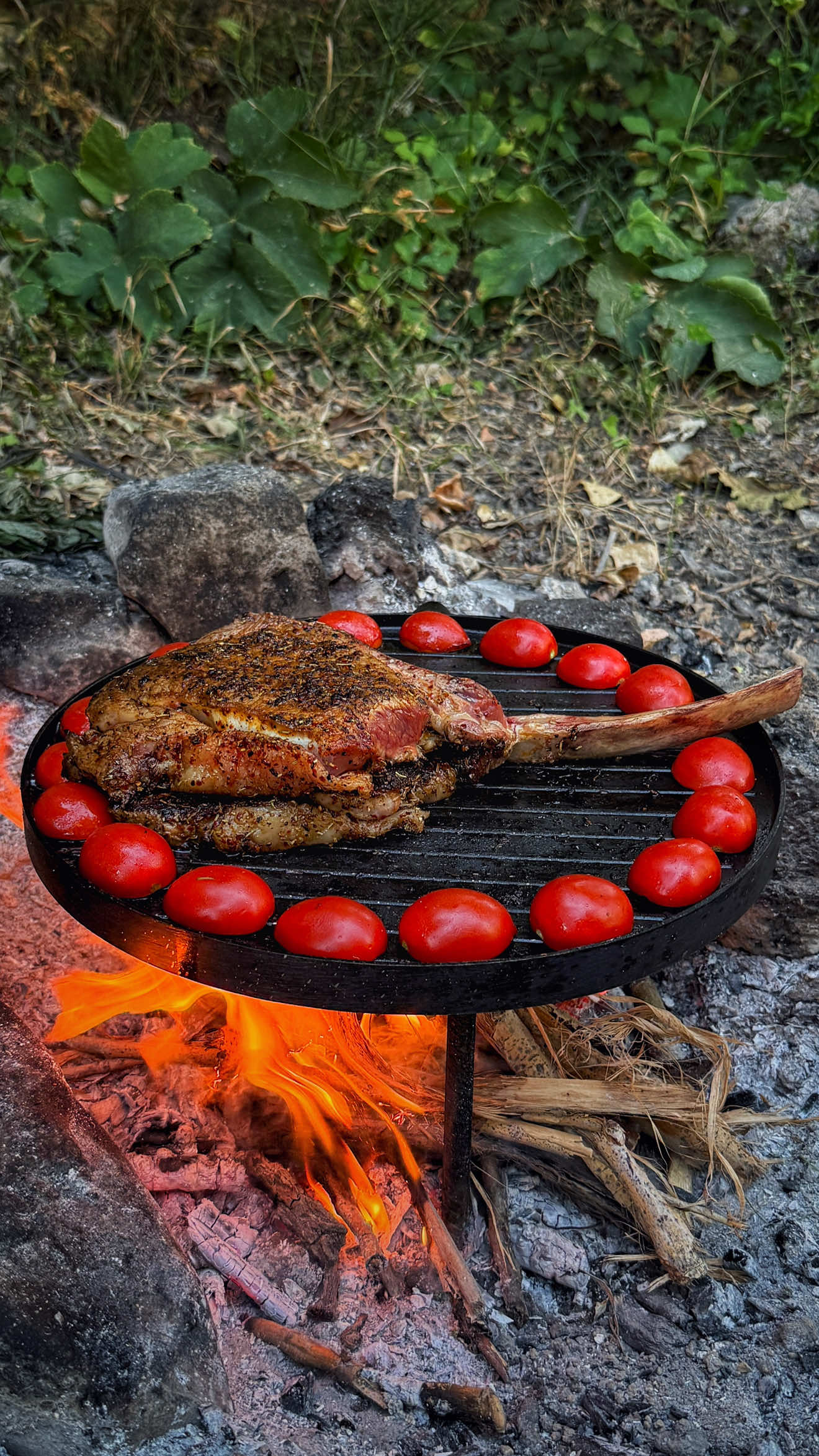 Tomahawk Steak Video: @chefganicaglar 👨🏽‍🍳 Malzemeler: - Dana pirzola - Çeri domates - Yoğurt - Patates - Kornişon turşu - Dereotu - Zeytinyağı - Nar ekşisi - Biberiye - Tane karabiber Ingredients:  - Beef chops  - Cherry tomatoes  - Yogurt  - Potatoes  - Pickled gherkins  - Dill  - Olive oil  - Pomegranate molasses  - Rosemary  - Black peppercorns #asmr #food #yemek #steak #Outdoors 