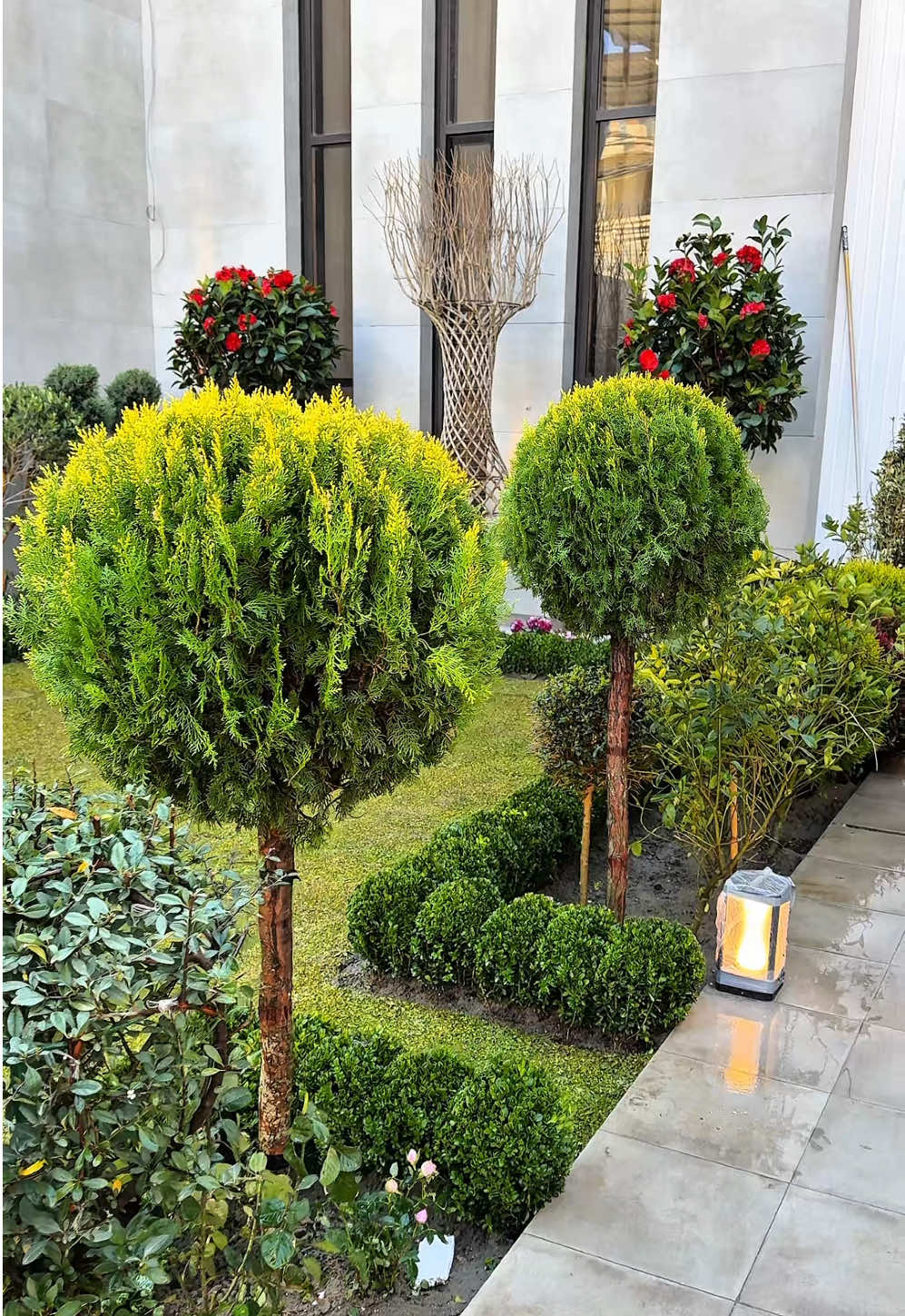 بأيدي كادر مشتل بيروت تزرع الفخامة وتصنع الحدائق 💚🏡👌 📍بغداد-شارع فلسطين-ساحة بيروت📞07750555130 #حدائق #زراعة #كاميليا_ورد #تنسيق_حدائق 